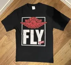 【希少】Air Jordan × Levi’s コラボ Tシャツ XS