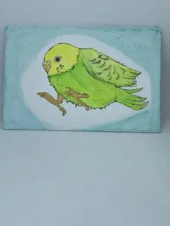絵画　インコさん（水彩画）