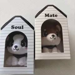 INFINITY MOON登坂広臣ØMI Mate Soulメイト ソウル - メルカリ