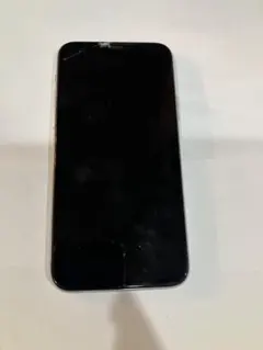 Apple iPhone 11 Pro 本体