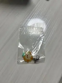 JOCHUM めじるしアクセサリー Bira