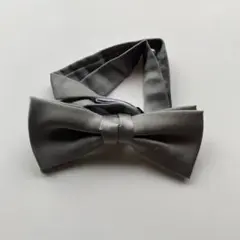 シルバー　蝶ネクタイ　結婚式　披露宴