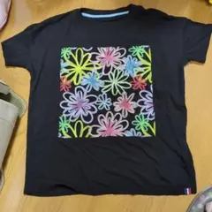 パーソンズレディース 半袖Tシャツ 花柄刺繍 ブラック