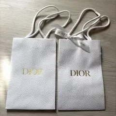 ディオール DIOR 紙袋　ショッパー2枚
