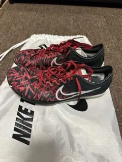 ナイキ ドラゴンフライ 25cm