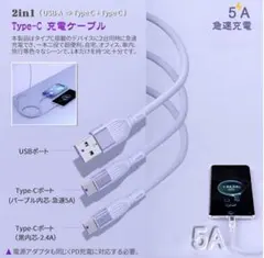 2in1 充電ケーブル 66W/6A PD急速充電 Type-C