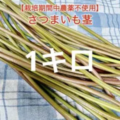 さつまいも茎 1キロ！のサムネイル