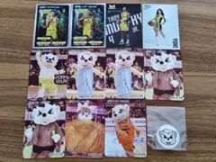 サンロッカーズ渋谷 2025-26 トレーディングカード他