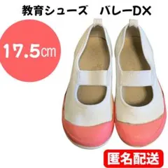 Item thumbnail for item fb25a86f-c1c9-4362-a6af-cb10b43dd717