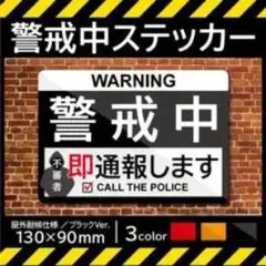 Item thumbnail for item 69a56268-11ab-4025-ab5a-318cb14632a2