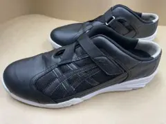 Item thumbnail for item 8fa1cdcf-e4fc-4db6-b4f8-147c6de6ff26