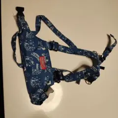 Item thumbnail for item 0dccc678-379f-4305-8f35-795998311116