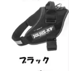 Item thumbnail for item f6f4be40-1053-41d6-a8e8-9aa07e7ad187