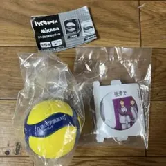 【ハイキュー!! ×MIKASAコラボBOX付きボール】白鳥沢学園高校