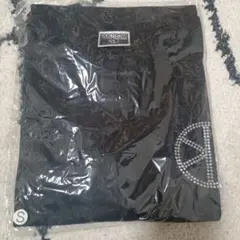 Item thumbnail for item 27e09e41-79f4-405c-973f-231954673ef7