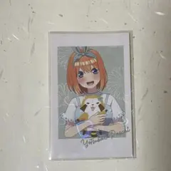 むぅ様専用ページ 五等分の花嫁 ラスカル チェキ風 四葉