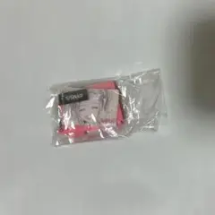 NANA x PASSIONAL LOVERミニチャーム アイシャドウ ハチ