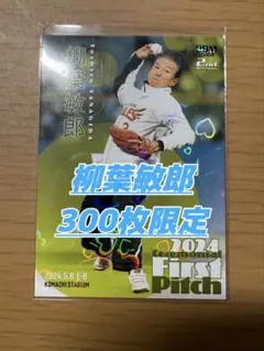 2026年最新】柳葉_敏郎の人気アイテム - メルカリ