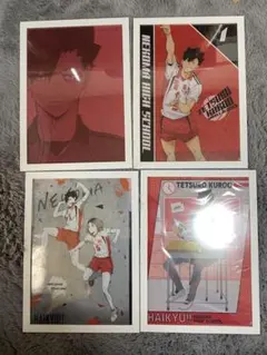 ハイキュー!! 黒尾鉄朗 孤爪研磨 ファイルセット