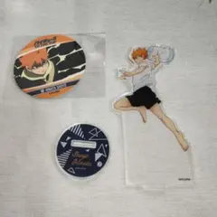 ハイキュー　日向翔陽　遠征　アクリルスタンド