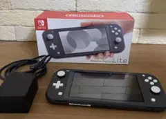 Nintendo Switch Lite 本体 グレー