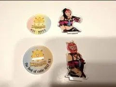 女子プロレス マリーゴールド アクスタ5弾 ロッシー小川 アクリル