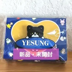 SUPERJUNIORイェソン ぬいぐるみキーホルダー - メルカリ