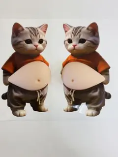 3D立体猫お腹ぷにぷにシール2匹セット 可愛い 肉球 スクイーズ もっちりシール