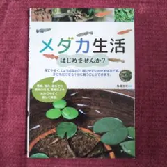 メダカ生活はじめませんか?