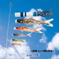 ゴールデン フジサワ鯉セット - メルカリ