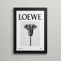 No.663 LOEWE 花モノクロ A4 アートポスター フレーム付き