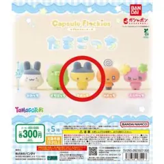 【匿名配送】たまごっちカプセルフロッキーズ　まめっち