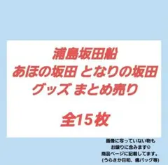 浦島坂田船 あほの坂田 となりの坂田 グッズ まとめ売り