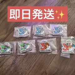 ポケモン30周年メタルチャームマスコット　ゼニガメヒトカゲリザードンフシギバナ