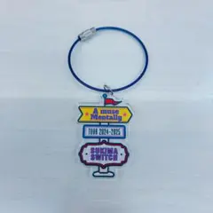 スキマスイッチ　アクリルキーホルダー　シークレットのサムネイル