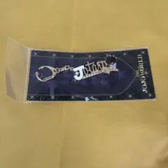 新品　ジョジョの奇妙な冒険　モチーフキーホルダー　空条承太郎