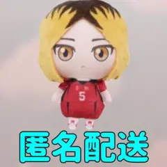 【孤爪 研磨】ハイキュー!! ぬいぐるみちゃーむvol.2