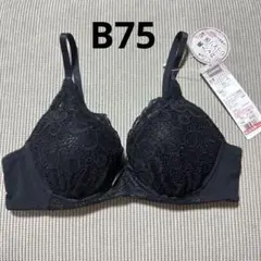 【新品未使用】しまむら CLOSSHI ブラック 黒 ブラジャー B75