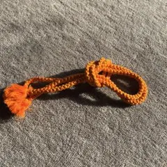 帯締め　オレンジ