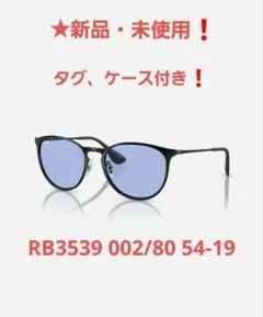 ★【新品・未使用】タグ付き❗Ray-Ban ERIKA METALのサムネイル