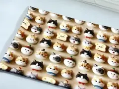 シーチング綿100%生地幅110cm×100cm猫頭.4588