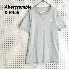アバクロンビー&フィッチ ロゴ刺繍 半袖Tシャツ（M）ライトグレー コットン