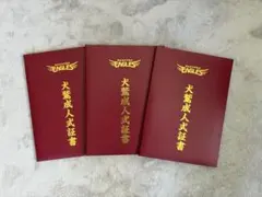 Item thumbnail for item 89723bc8-77a0-437e-b4ac-4eb51971e378