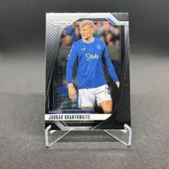 ゆ*と様 Panini Prizm Monopoly ウェイン・ルーニー - メルカリ