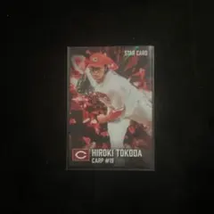 カルビー プロ野球チップス 床田寛樹 STAR CARD S-21