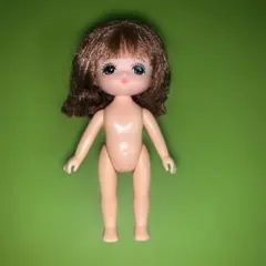 リカちゃんシリーズ　あおいちゃん　人形　フィギュア　本体のみ　廃盤　貴重　レア