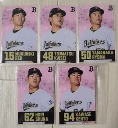 Item thumbnail for item 94718e00-c8a4-4832-a163-b2573d19b274