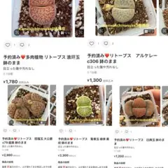 専用❤️ヤマト付き同梱-450円kamekichinosuke3様 10点