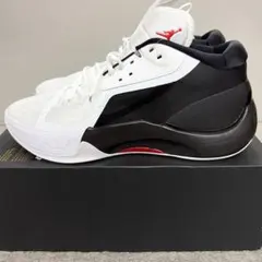 新品 NIKE ジョーダン ズームセパレート PF バスケットシューズ 29.5のサムネイル
