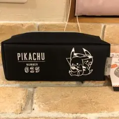 ポケモンピカチュウ ペンケース PACO-TRAY 025 新品